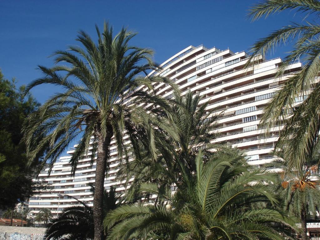 Apartamentos Florazar II Ajhory Cullera Exteriör bild
