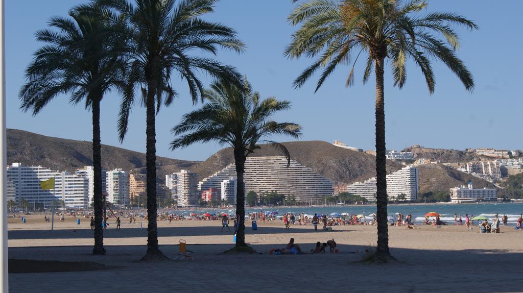 Apartamentos Florazar II Ajhory Cullera Exteriör bild